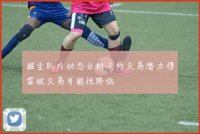 掘金队内动态分析卡约交易潜力穆雷被交易可能性降低
