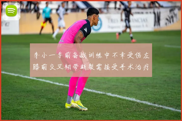 李小一季前备战训练中不幸受伤左膝前交叉韧带断裂需接受手术治疗
