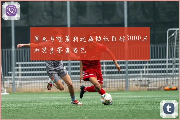 国米与哈莱利达成协议目标3000万加奖金签查洛巴