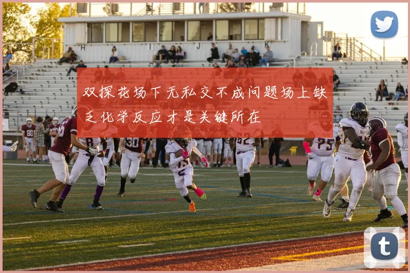 双探花场下无私交不成问题场上缺乏化学反应才是关键所在